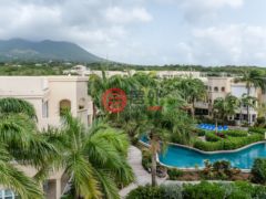 圣克里斯托弗和尼维斯岛NevisSt. Thomas Lowland的公寓，The Hamilton Beach Villas & Spa Unit 5A，编号77809590