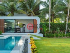 多明尼加La AltagraciaHigüey的独栋别墅，None 000 154 Cap Cana 23000 Dominican Republic，编号77771277
