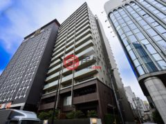 日本TokyoMinato的公寓，编号78163090
