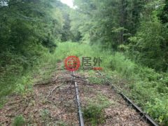 美国密西西比州Conehatta的住宅用地，None Thrash Road，编号77777445