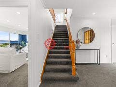 新西兰纳皮尔的独栋别墅，49 Ferguson Street Bay View，编号78244967