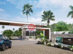 牙买加圣安妮拉納韋貝的独栋别墅，Villa 8 Palm Beach，编号77811346