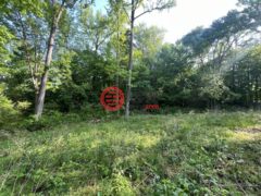 美国田纳西州达夫的住宅用地，None 269 Eagle View Dr，编号77930882