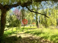 法国BrittanyPlomodiern的独栋别墅，编号78289886