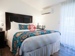 圣克里斯托弗和尼维斯岛Saint KittsFrigate Bay的公寓，The Royal St. Kitts Hotel Unit 226，编号77808806
