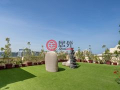 阿联酋迪拜迪拜的公寓，Dubai - Palm Jumeirah - Marina Residences - Marina Residences 5 Palm Jumeirah，编号78016025