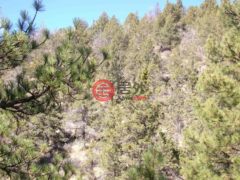 美国加州琼斯堡的住宅用地，None xx Cottonwood Ck Rd，编号75833150