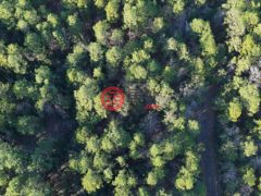 美国德克萨斯州Brookeland的住宅用地，None 22 Sumac Drive，编号77805803