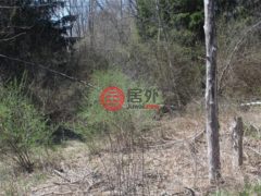 美国纽约州斯万莱克的住宅用地，None 927-943 Briscoe Road，编号77678491
