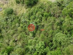 英属维尔京群岛的住宅用地，Cane Garden Mountain View，编号77642337