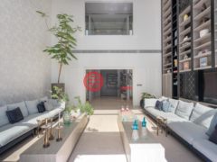 阿联酋迪拜迪拜的独栋别墅，Millenium Estates Meydan，编号77945397