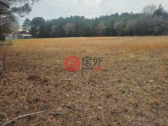 美国马里兰州马德拉斯普林斯的住宅用地，None US RT 50，编号77358627