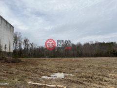 美国田纳西州Newport的住宅用地，编号77763166