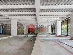 墨西哥Ciudad de MéxicoPolanco的公寓，Ruben Dario 225 101，编号48346330