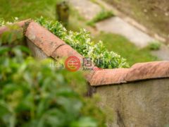 意大利NovaraOrta San Giulio的独栋别墅，Regione Garullo，编号78037205