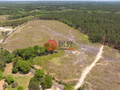 美国密西西比州Purvis的独栋别墅，None 703 AC +/- Purvis to Baxterville Rd.，编号77697984