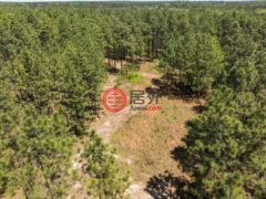 美国密西西比州Purvis的独栋别墅，None 703 AC +/- Purvis to Baxterville Rd.，编号77697984