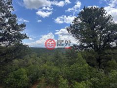 居外网在售哥伦比亚El Toro总占地20234平方米的住宅用地