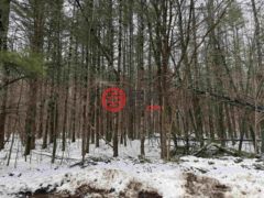 美国威斯康星州Keshena的农业用地，N1603 Spirit Ridge Road #37，编号77223316