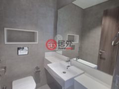 阿联酋迪拜迪拜的公寓，The Residences at District One，编号65641314