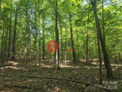 美国南卡罗来纳州希思泉的住宅用地，None 00 Hoke Road，编号78151710