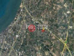 泰国春武里府挽腊茫郡的住宅用地，123 Nong Pla Lai，编号77347840