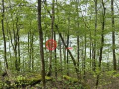 美国田纳西州Granville的住宅用地，Huff Hollow Rd，编号77182495