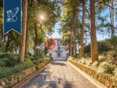意大利翁布里亚Monteleone d'Orvieto的公寓，编号76681655