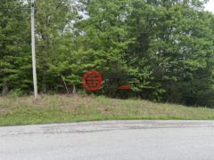 美国肯塔基州鲍灵格林的农业用地，Lot 1 10.93 ac Girkin Road，编号77637161