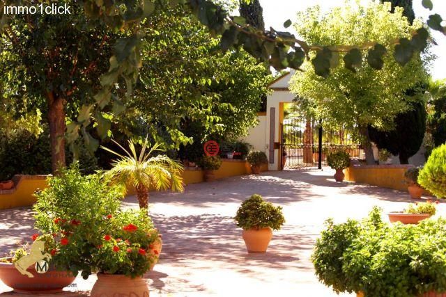 西班牙卡尔莫纳总占地60000平方米的农场