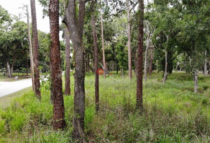 美国佛罗里达州拉克兰总占地55037平方米的土地